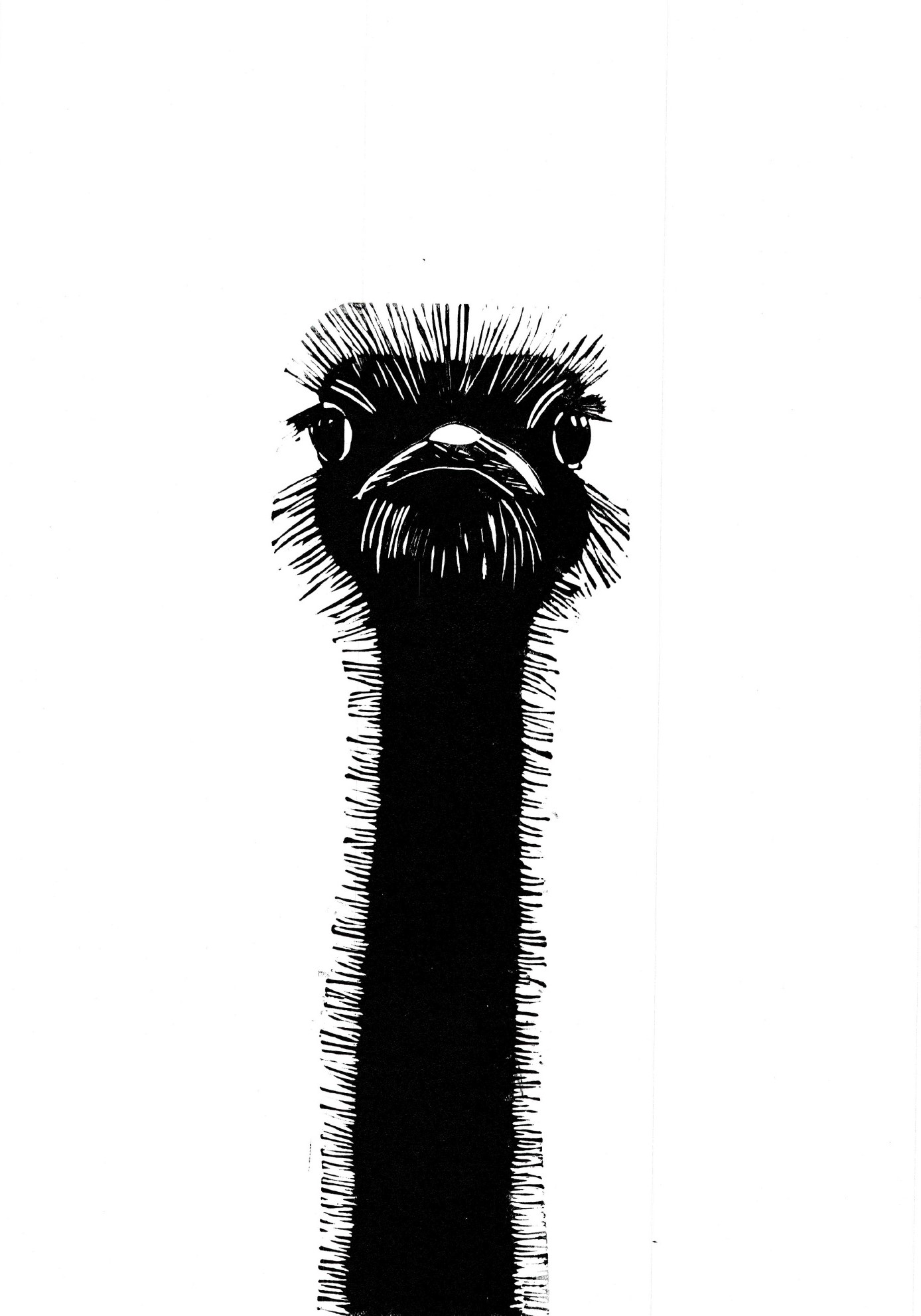 Black and white ostrich artwork